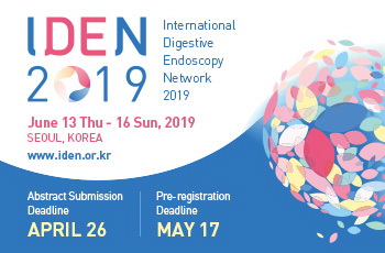 Intenational Digestive Endoscopy Network 2019 (IDEN 2019)