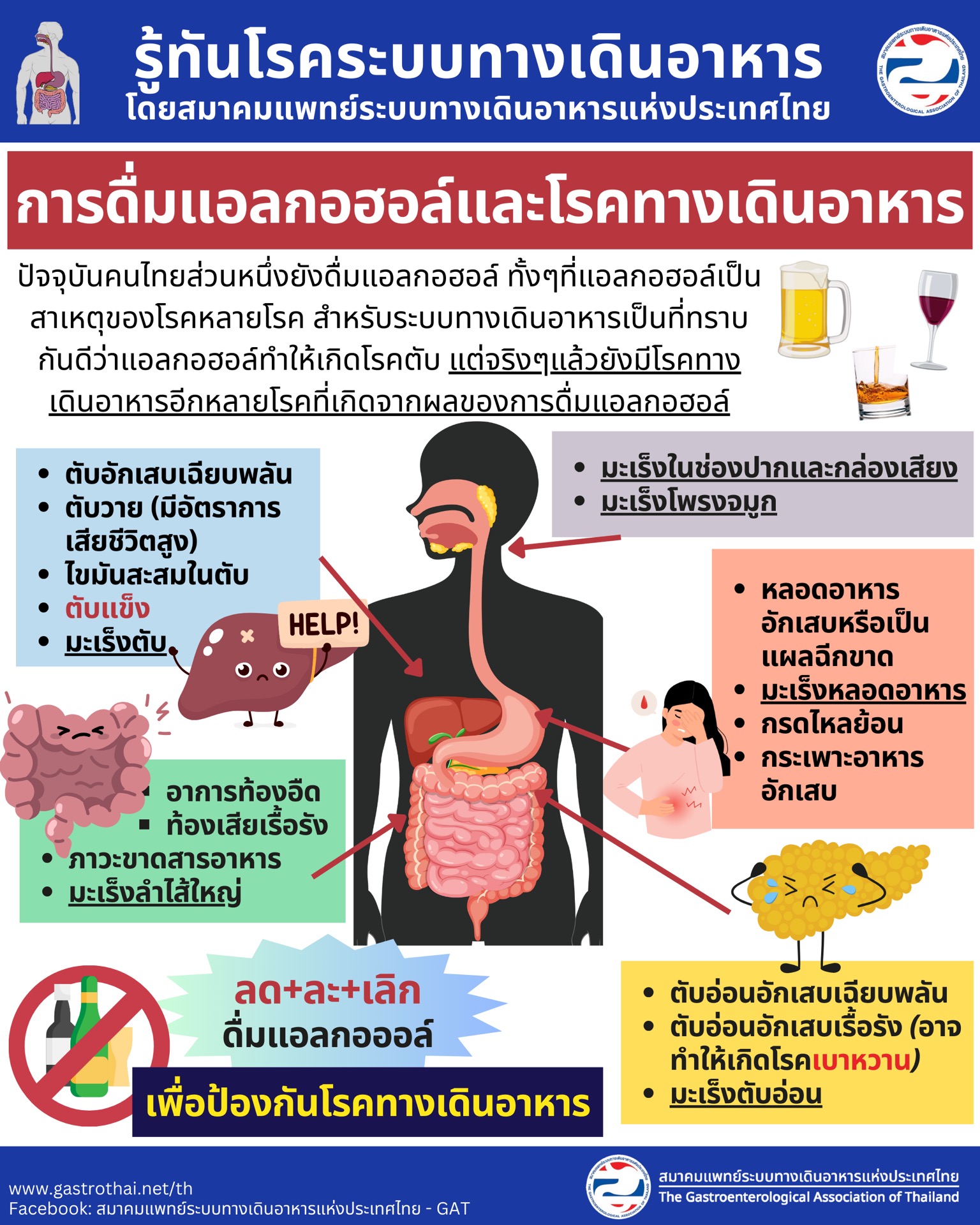 ผลของการดื่มแอลกอฮอล์ต่อระบบทางเดินอาหาร